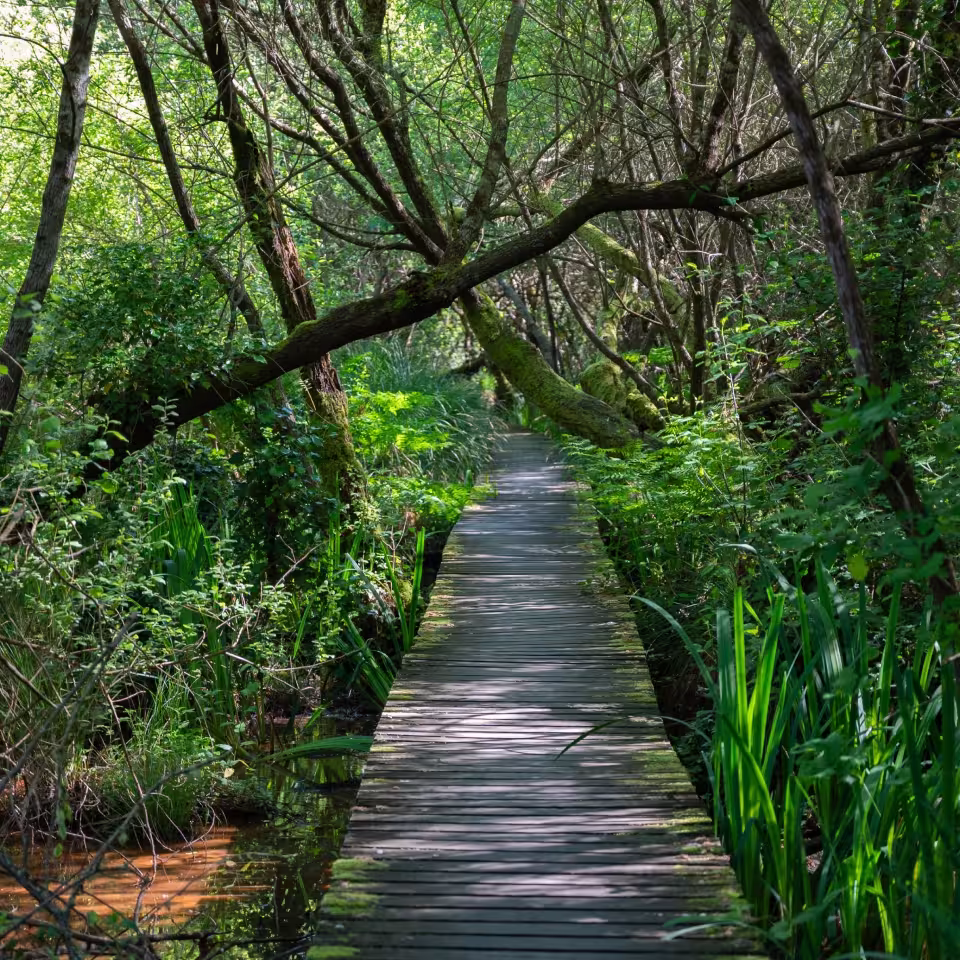 activites-seignosse-sport