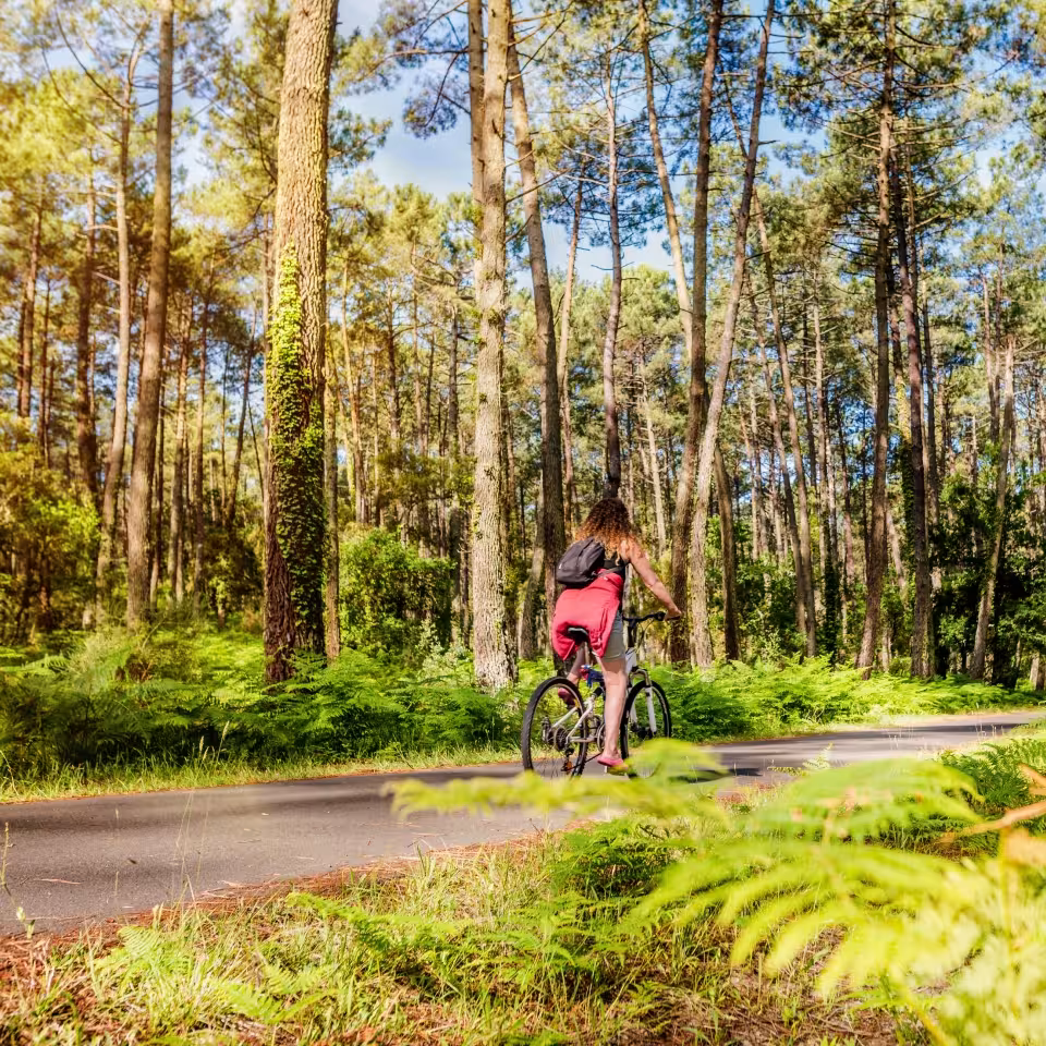 activites-seignosse-vacances
